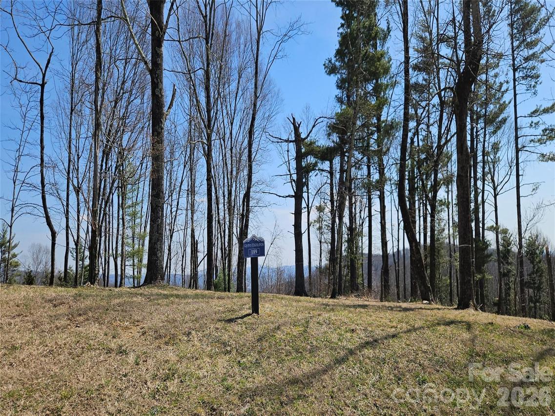 189 Dancing Bear Dr., Hendersonville, NC 28792