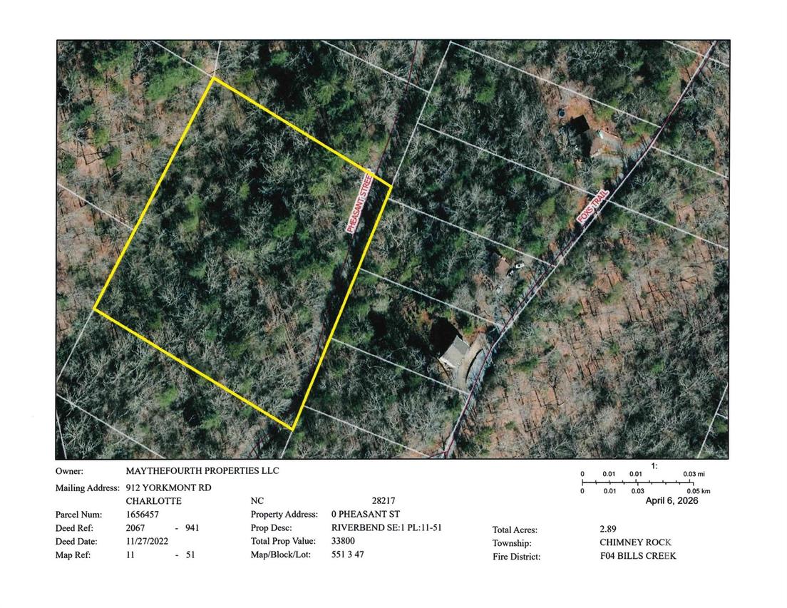 Pheasant St. #51, Lake Lure, NC 28746