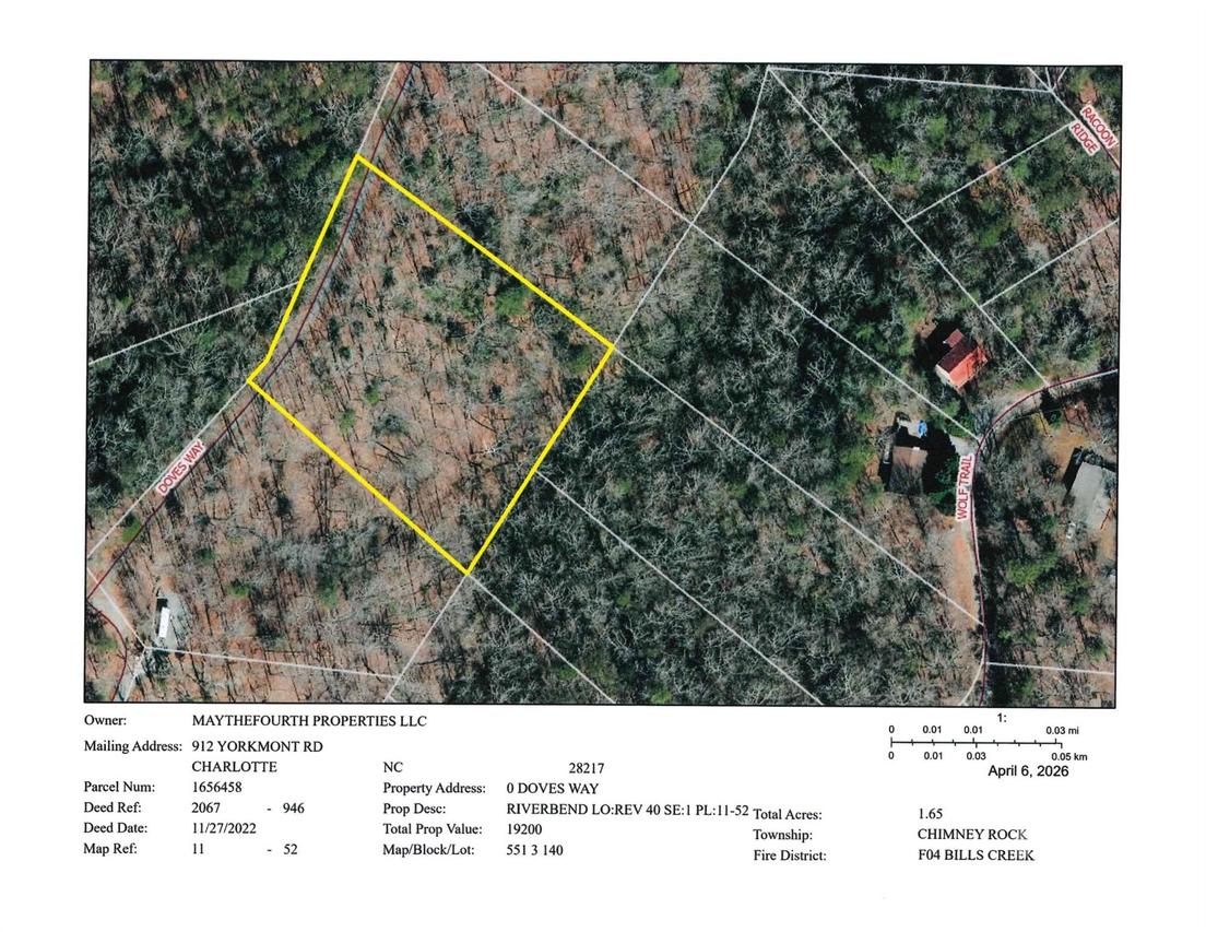 Doves Way #40, Lake Lure, NC 28746