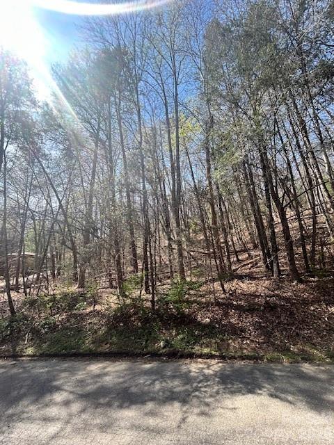 51 Fairway Dr., Lake Lure, NC 28746