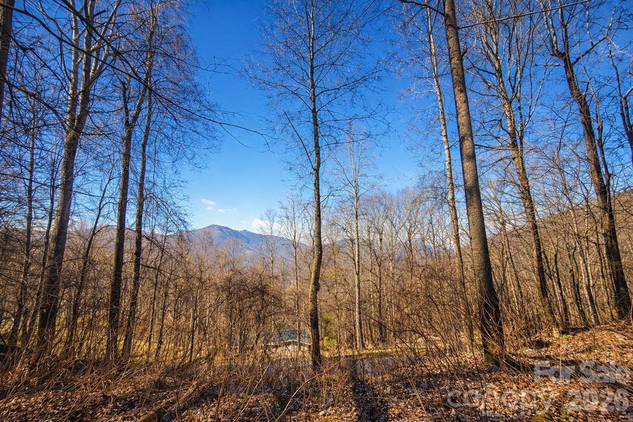 4 Buckeye Rd. #63, Maggie Valley, NC 28751