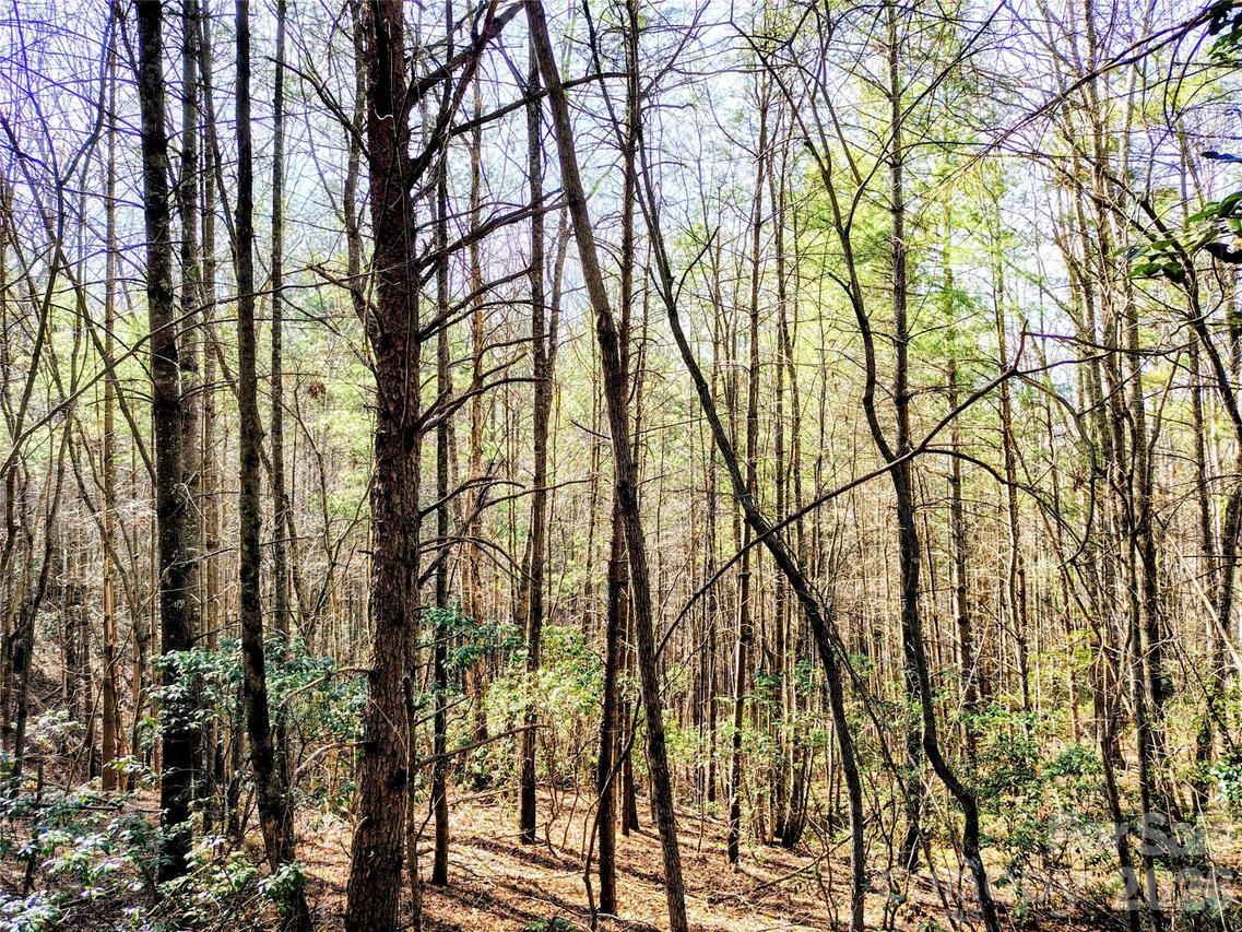 10 Acres Tahoe Tr., Collettsville, NC 28611