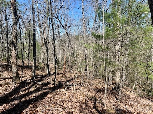 TBD Connelly Springs Rd. #5, Lenoir, NC 28645
