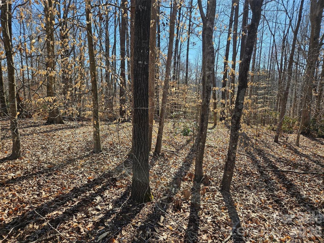 General Griffith Cir. #37, Rutherfordton, NC 28139