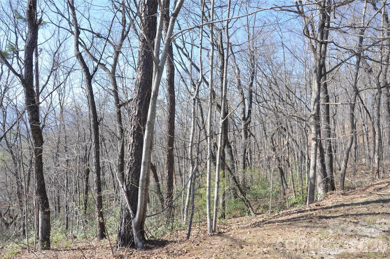 TBD Mountain Crest Dr. #41, Marion, NC 28752