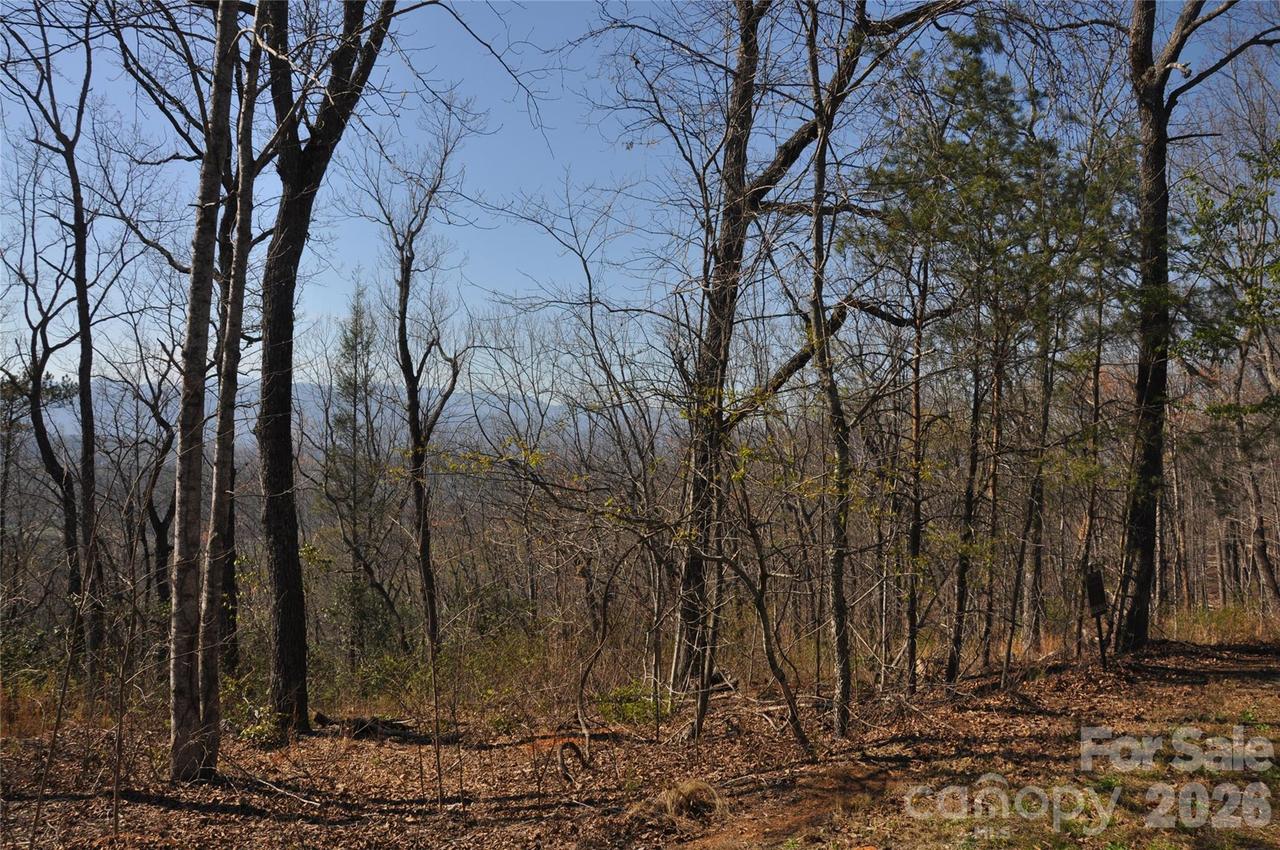 TBD Mountain Crest Dr. #41, Marion, NC 28752