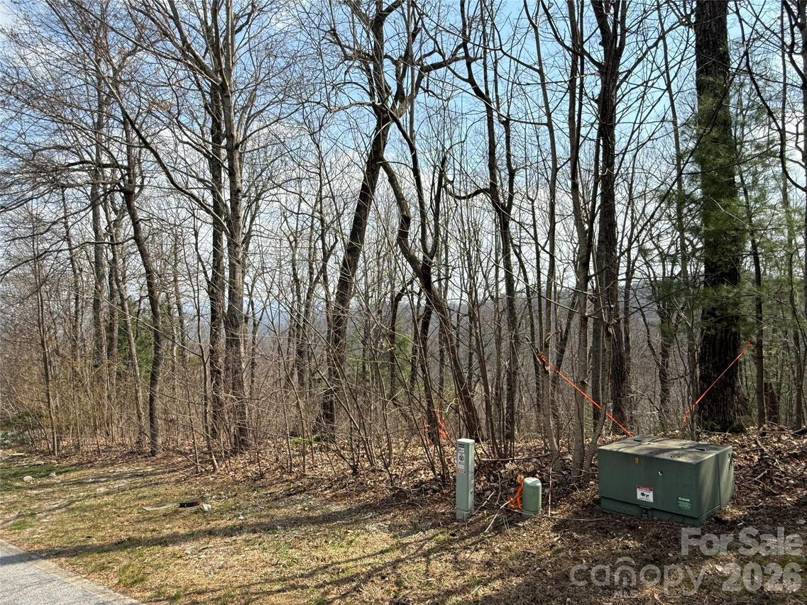 108 Fawncrest Ct. #51 - R, Flat Rock, NC 28731