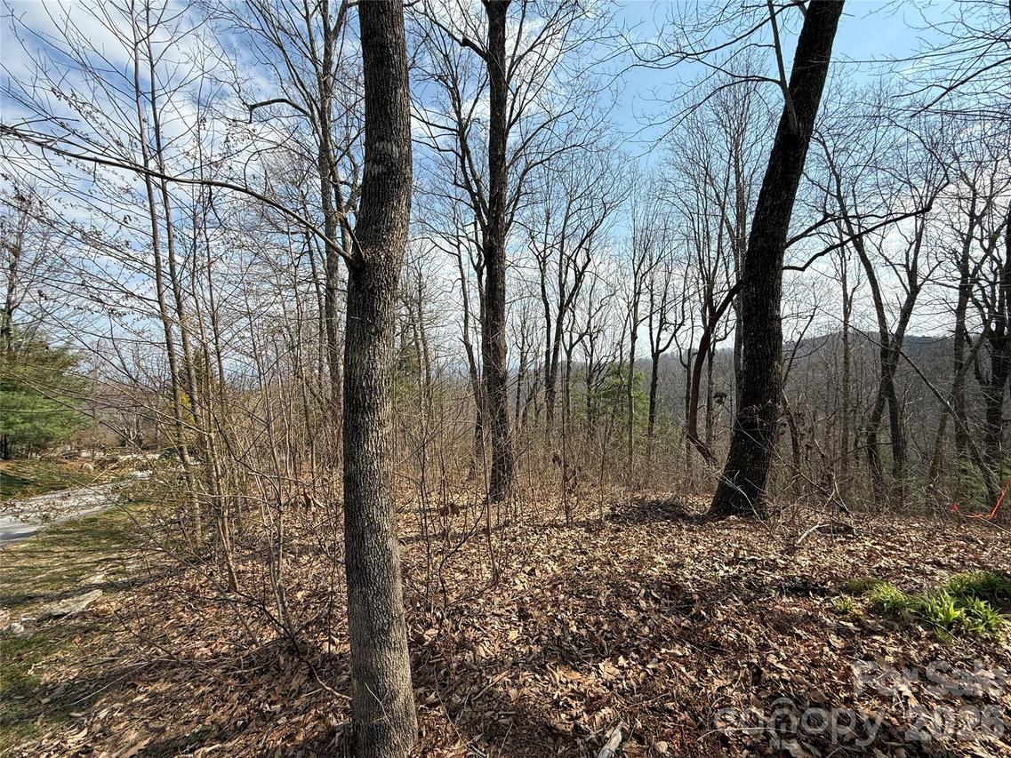 108 Fawncrest Ct. #51 - R, Flat Rock, NC 28731