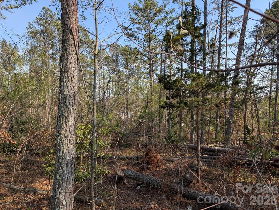 TBD Whitesides Rd., Forest City, NC 28043