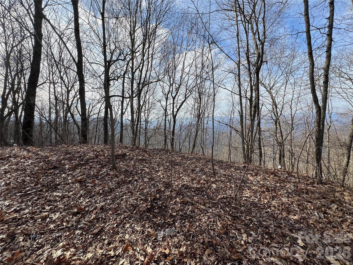 Lot 24/26 Butterfly Path #24/26, Bryson City, NC 28713