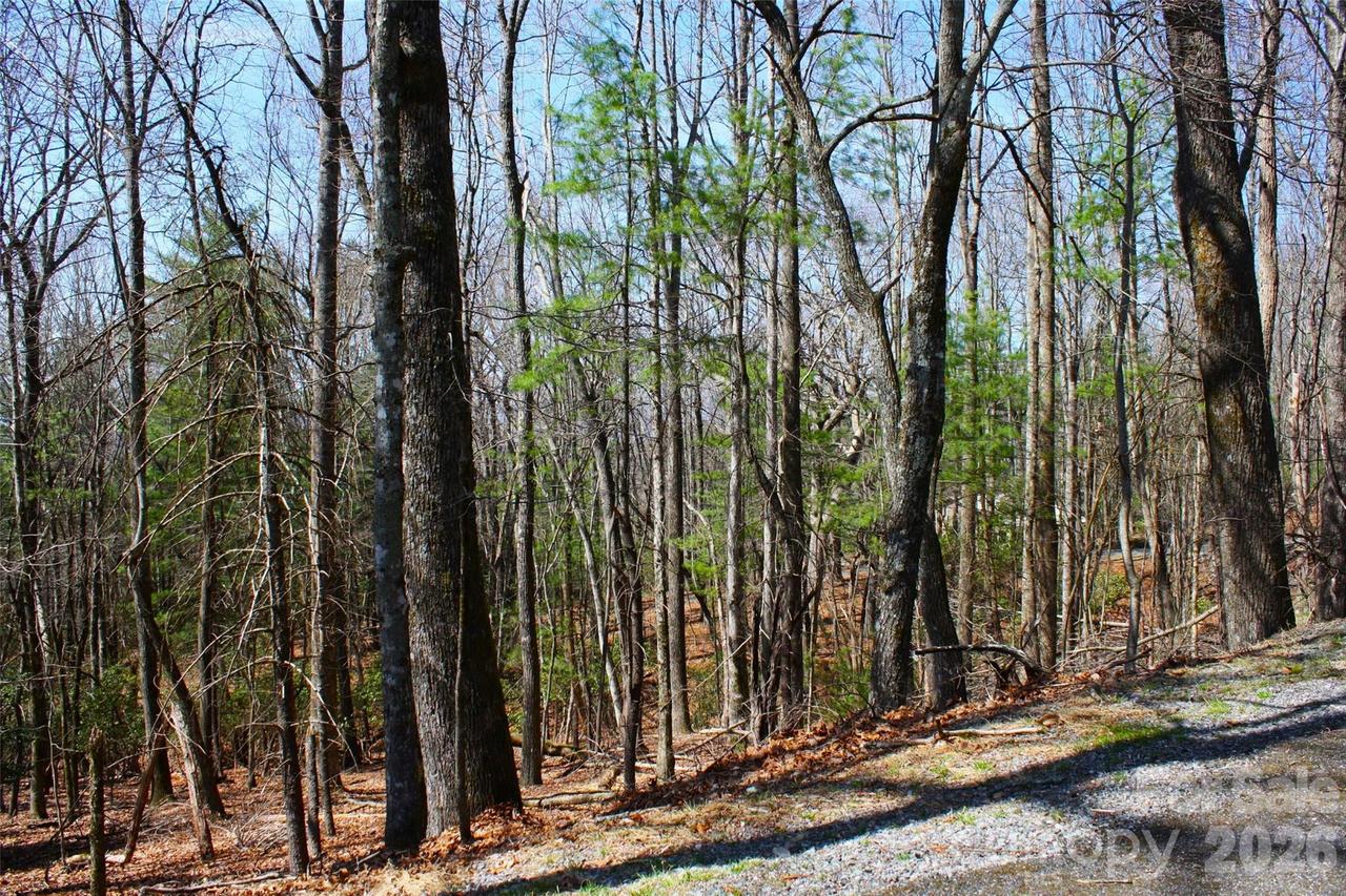 0000 Slick Rock Rd., Brevard, NC 28712