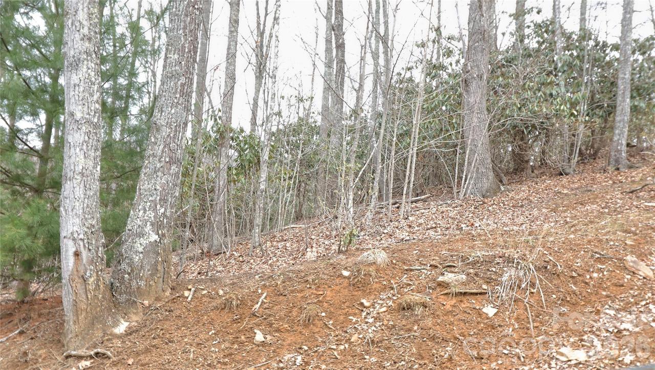 TBD Vineyards Retreat Rd. #14, Newland, NC 28657