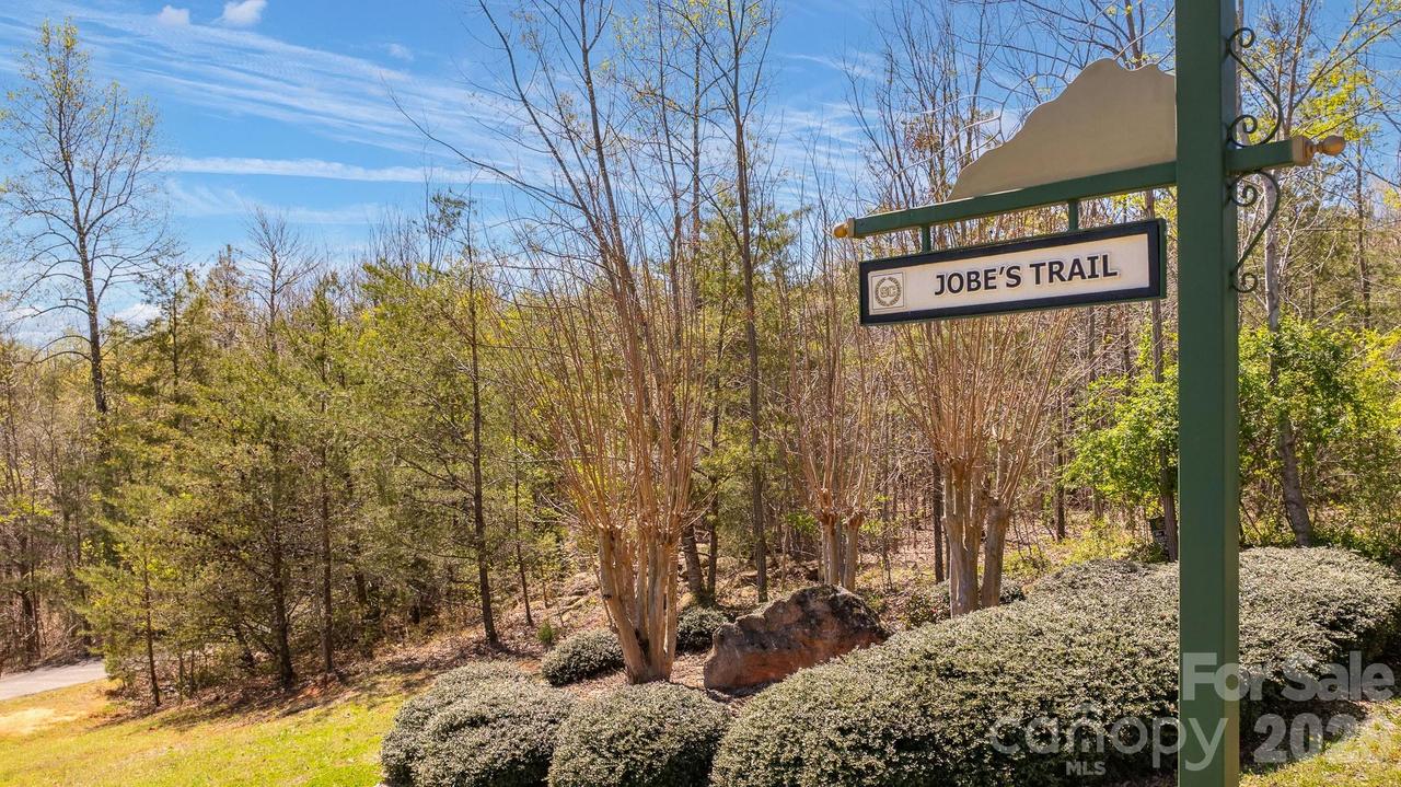 TBD Jobes Tr. #29, Mill Spring, NC 28756