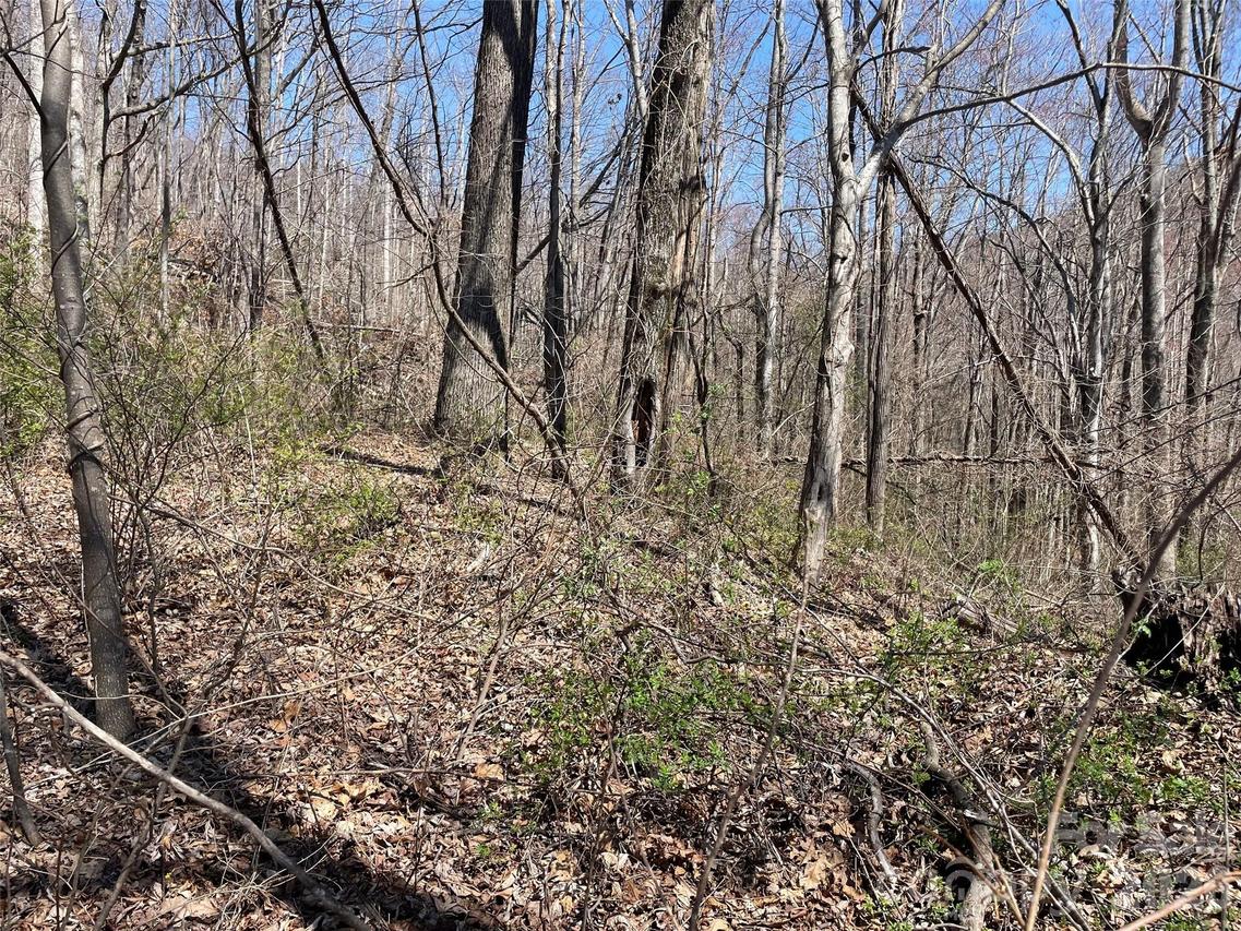 182 Old Mountain Pass, Hendersonville, NC 28792