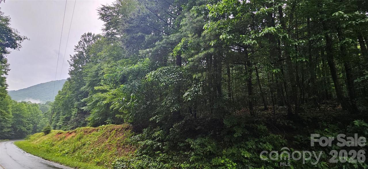 Old Ccc Rd., Hendersonville, NC 28739