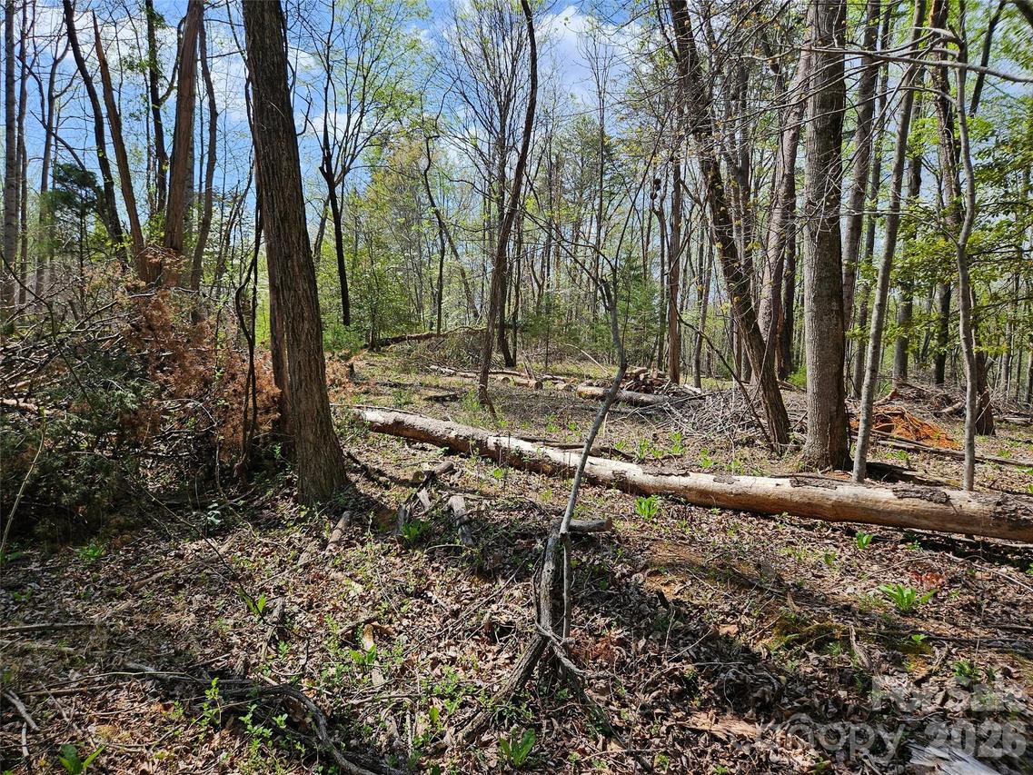 Whitney Blvd. #57, Lake Lure, NC 28746