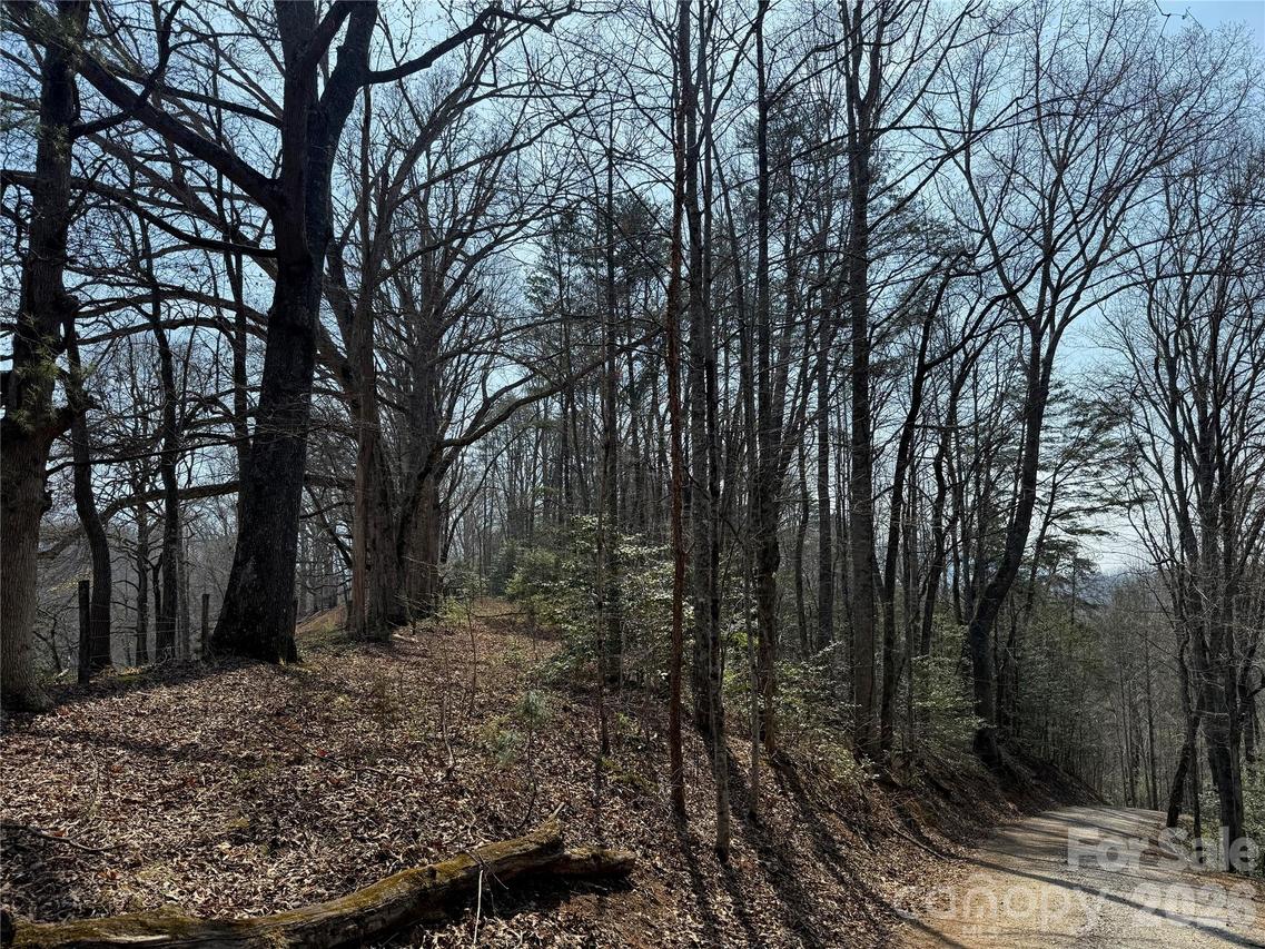 Lot 1 & 2 Boot Hill Rd., Whittier, NC 28789