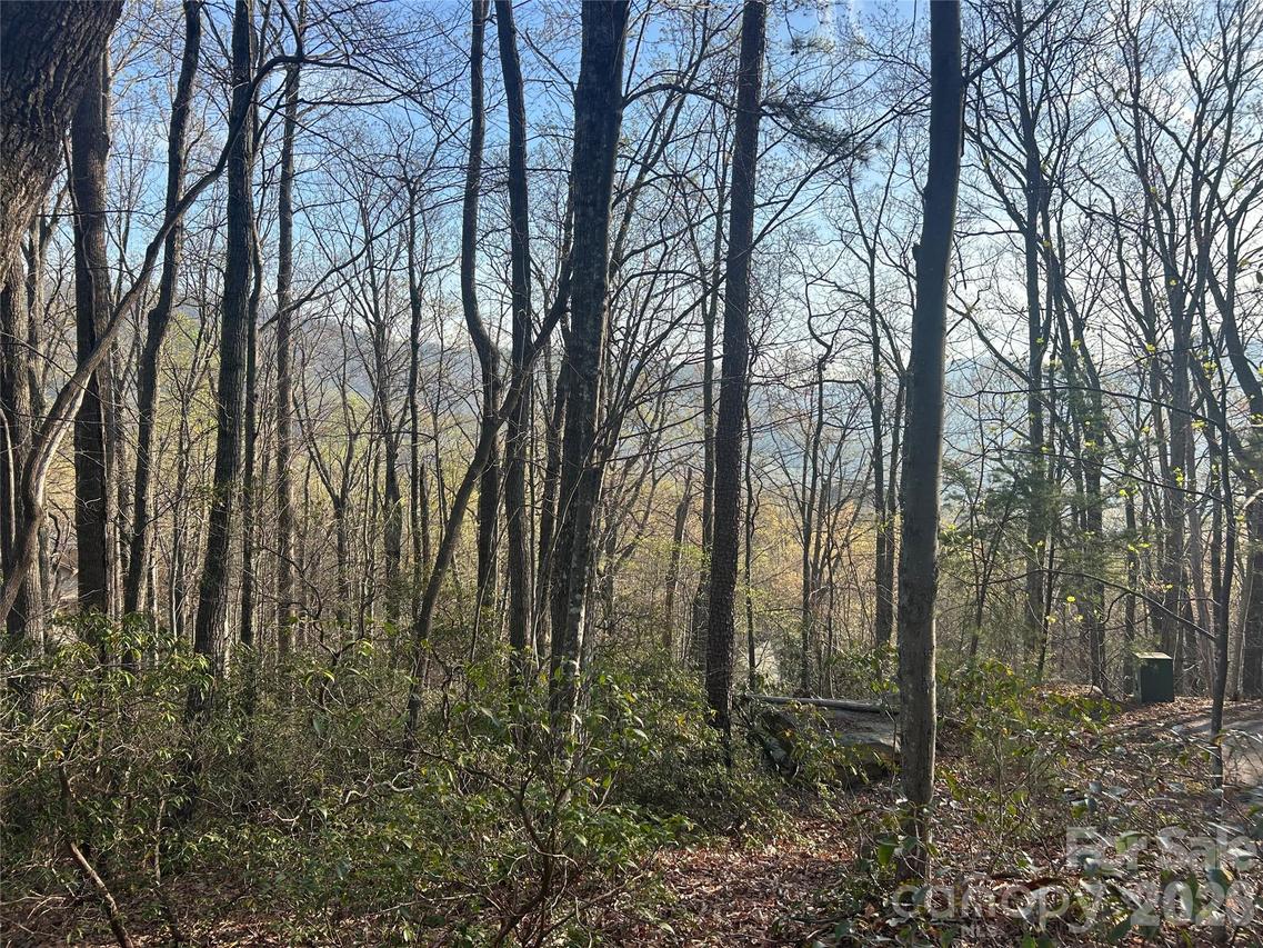 Lot 301 Cardinal Rd. #301, Lake Lure, NC 28746