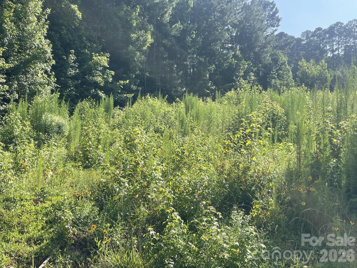 Ski Pond Rd., New London, NC 28127