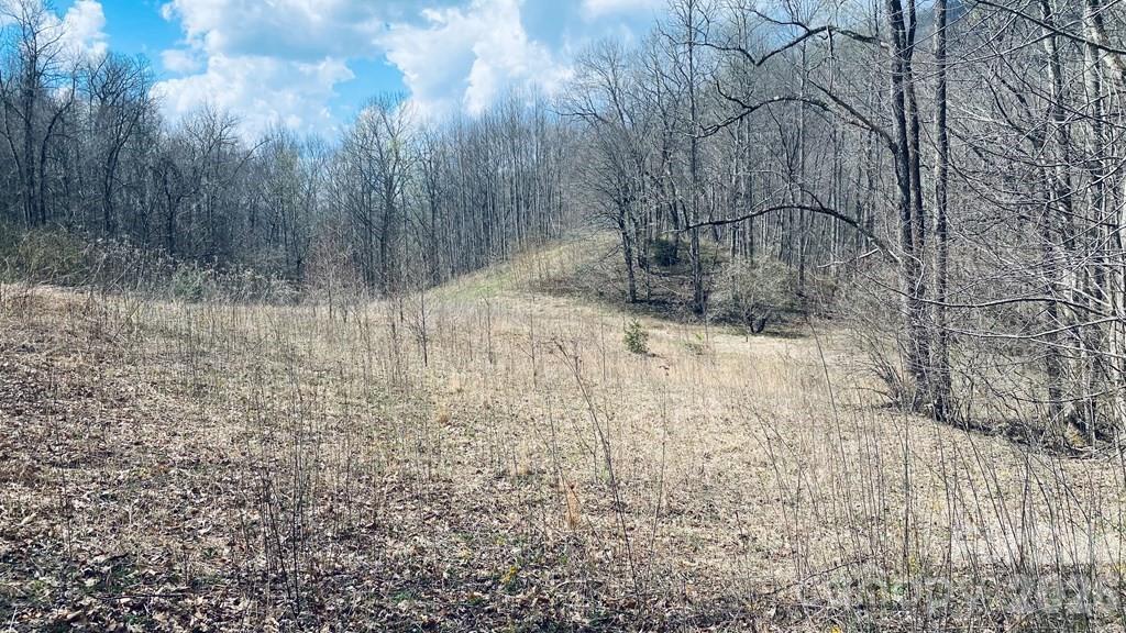 5 Brasstown Rd., Cullowhee, NC 28723