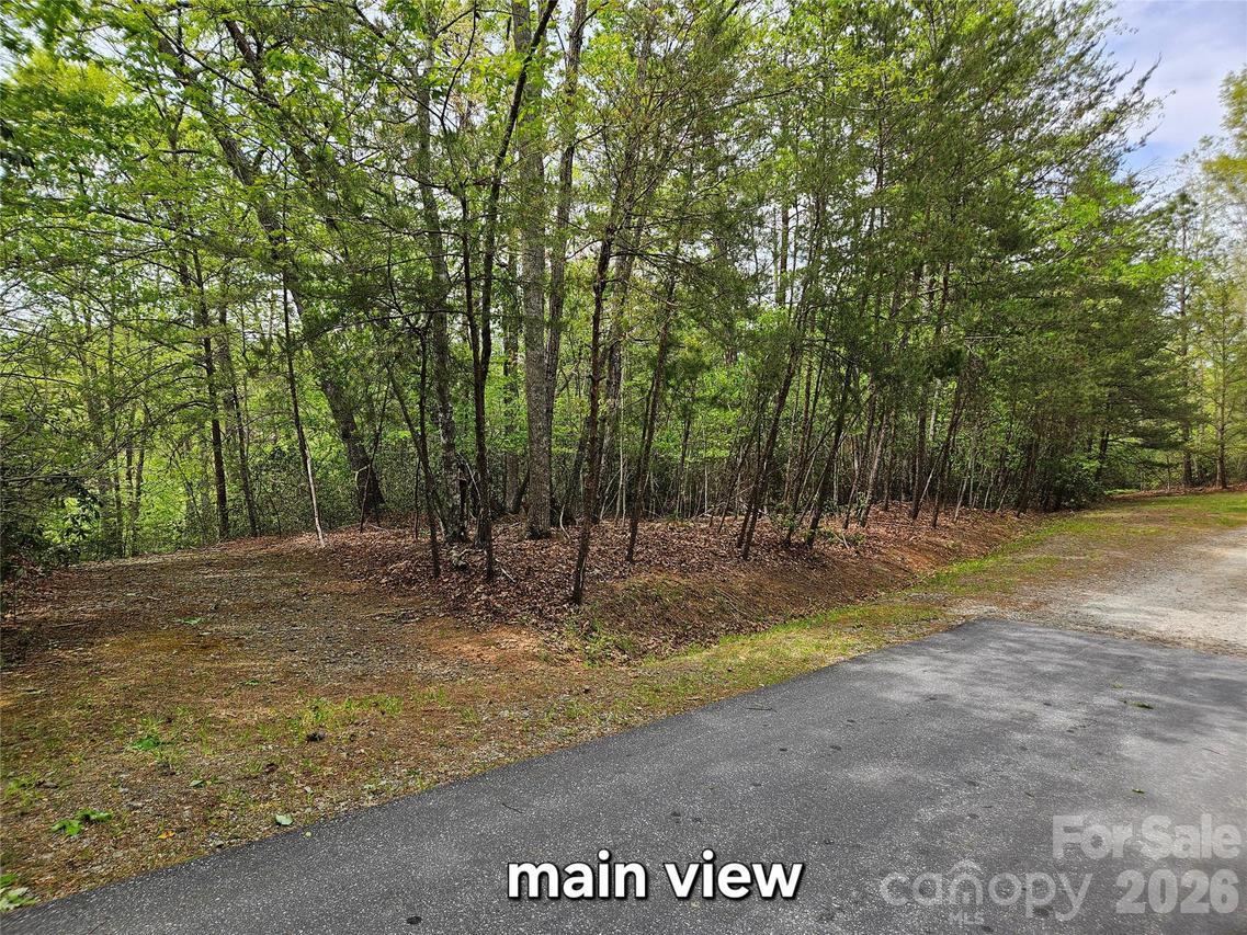 81 N Mill Ridge Rd., Nebo, NC 28761