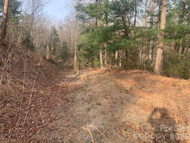 7.67 AC. Holbert Cove Rd., Saluda, NC 28773