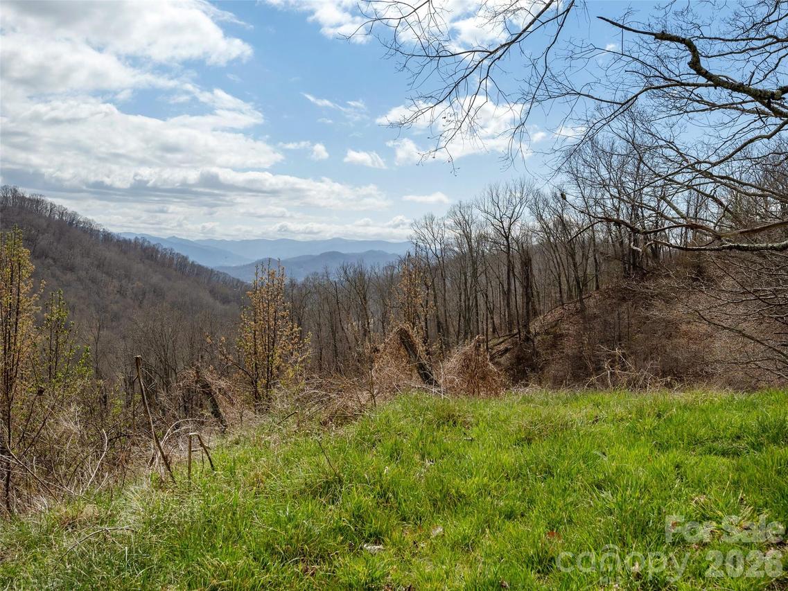TBD Wilson Cove Rd., Canton, NC 28716