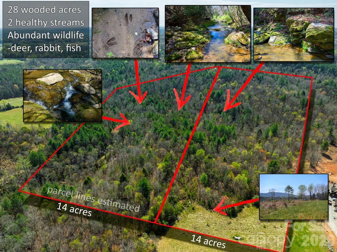 0000 Jimmy Fox Ln., Taylorsville, NC 28681