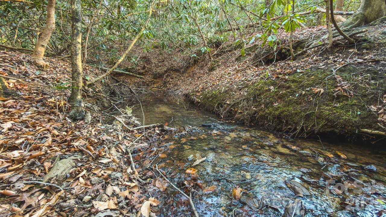 TBD All Healing Springs Rd. #1, Taylorsville, NC 28681