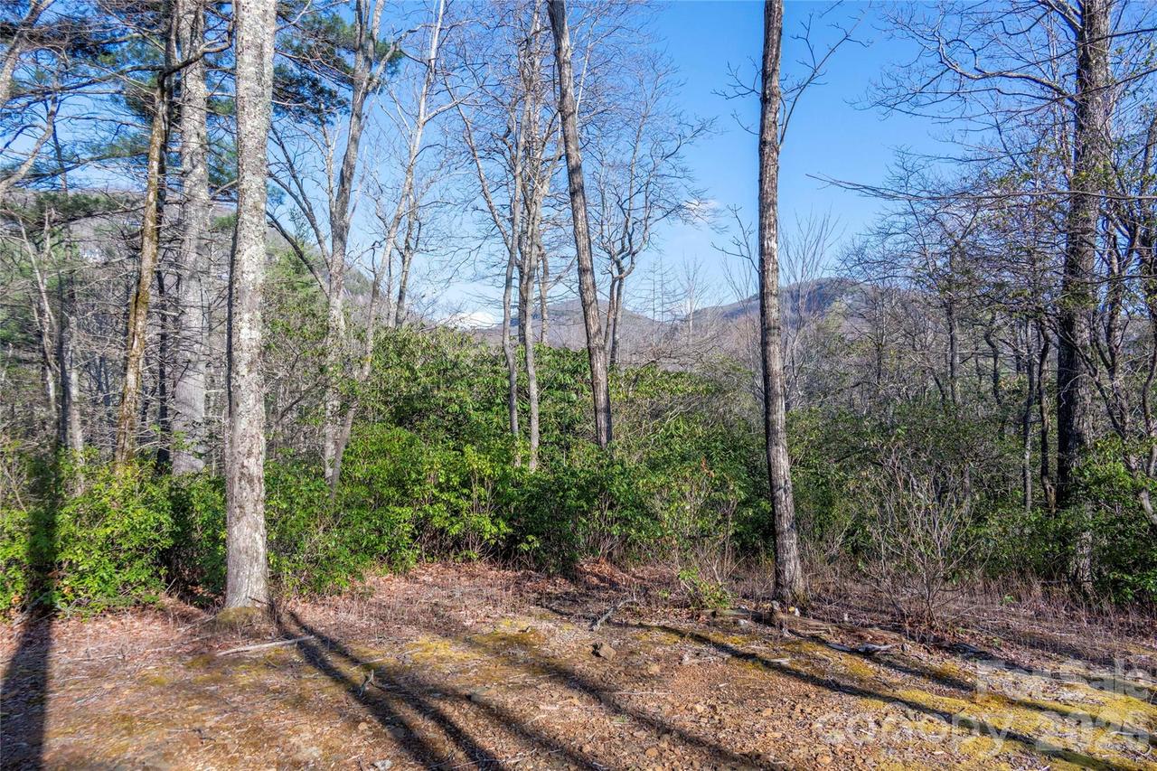TRP 1 Cardinal Dr., Lake Toxaway, NC 28747