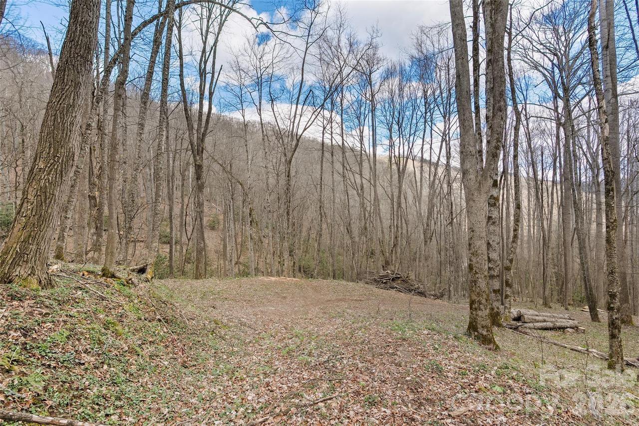 23 Forbidden Cove, Waynesville, NC 28785