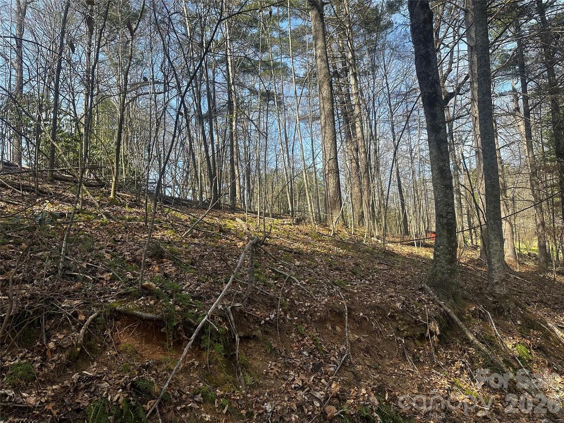 00 Saw Mill Hollow, Burnsville, NC 28714