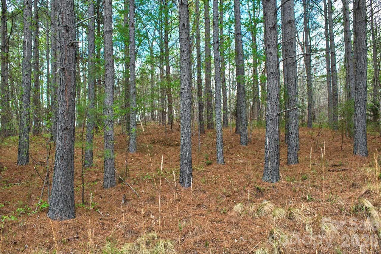 Clearwater Pkwy. #14, Rutherfordton, NC 28139