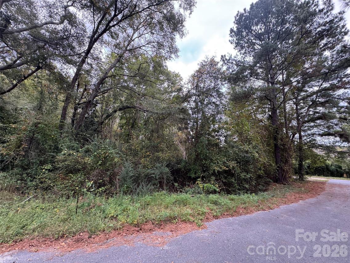 00 Ellen Dr., Hamlet, NC 28345