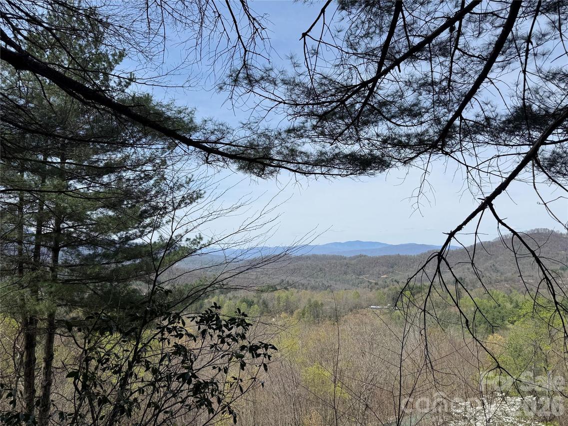 473 Echo Ridge Rd., Whittier, NC 28789