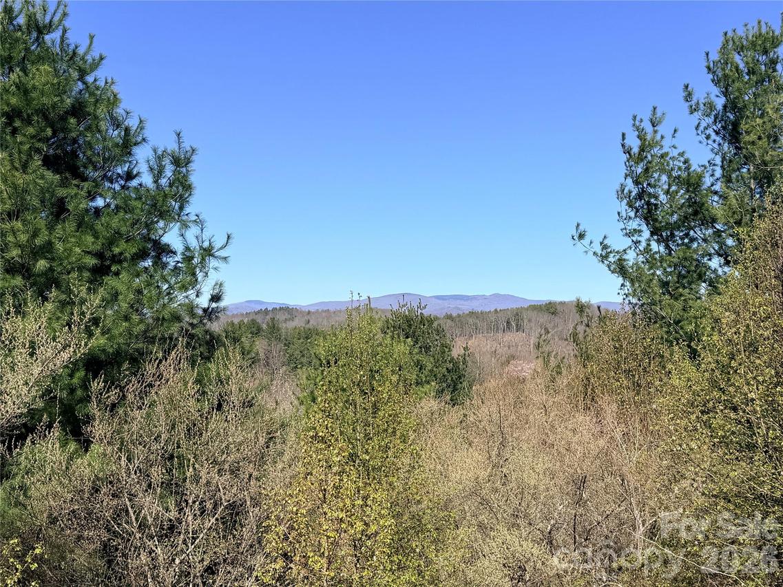 TBD (Lot 21 & 22) Martha Ln. #21 & 22, Piney Creek, NC 28663