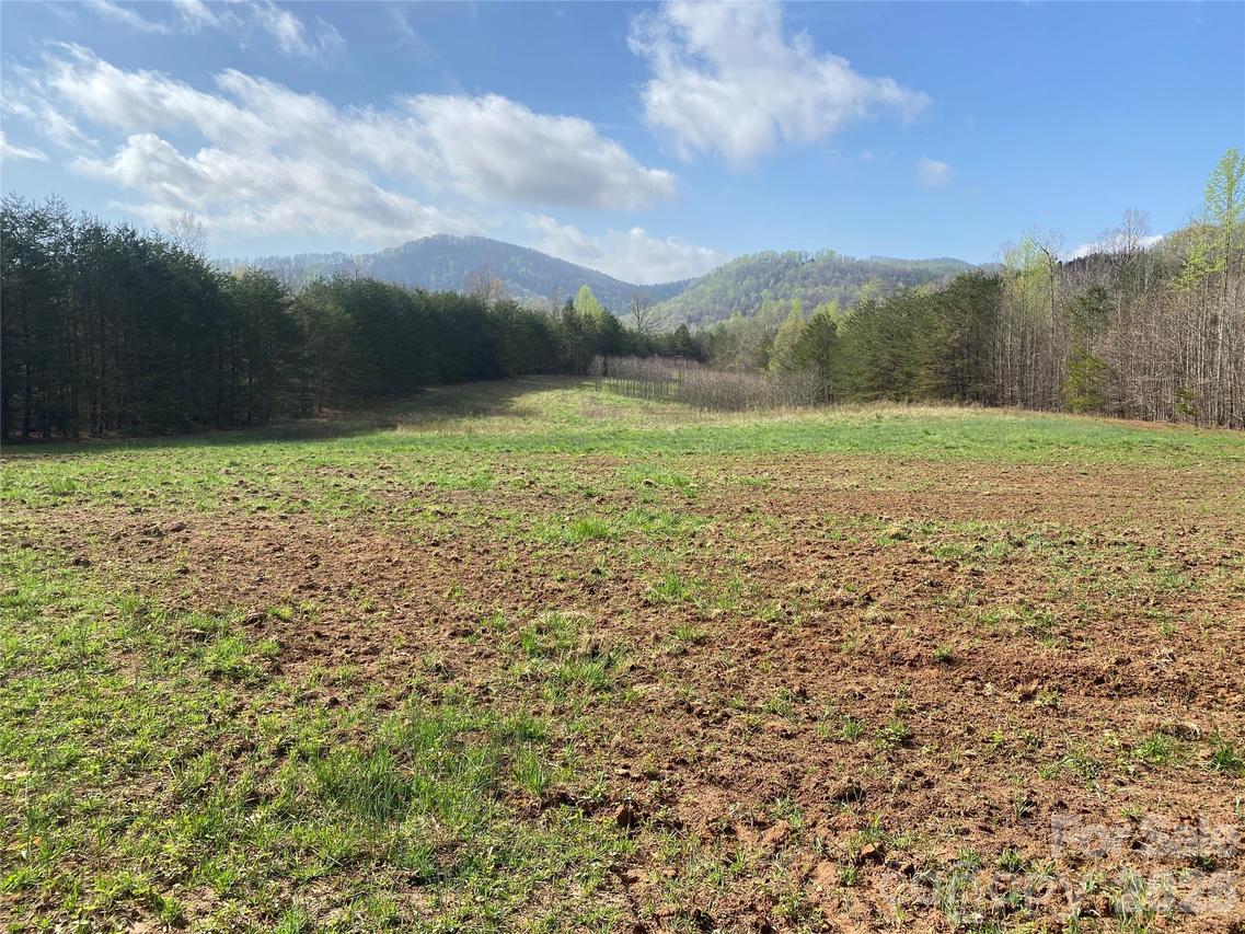 00 Cane Creek Mountain Rd. #1, Bostic, NC 28018