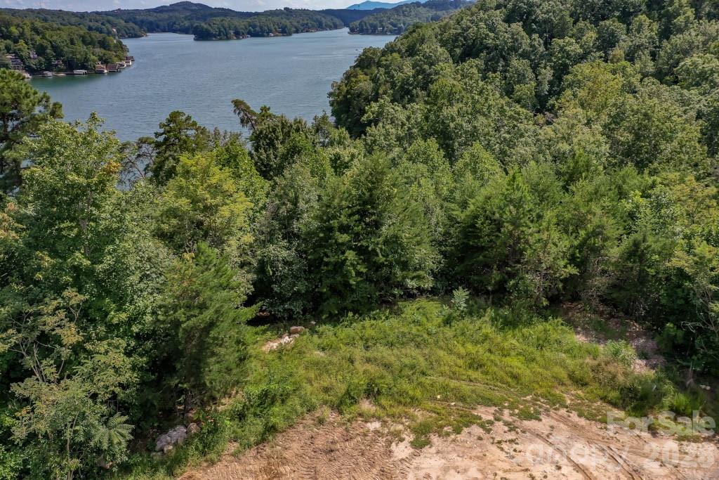000 Holmstead Dr., Lake Lure, NC 28746