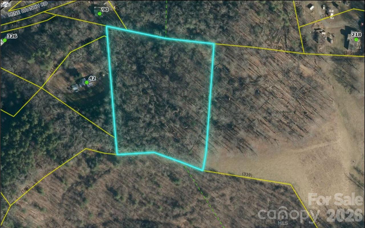 000 Mine Branch Rd., Burnsville, NC 28714