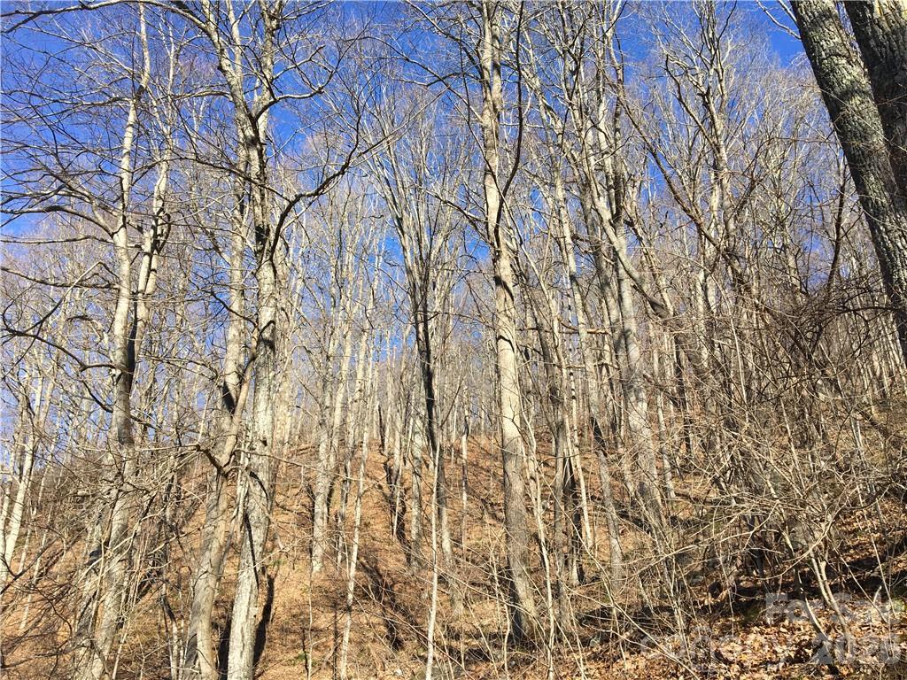 99999 Red Oak Forest Rd., Fairview, NC 28730