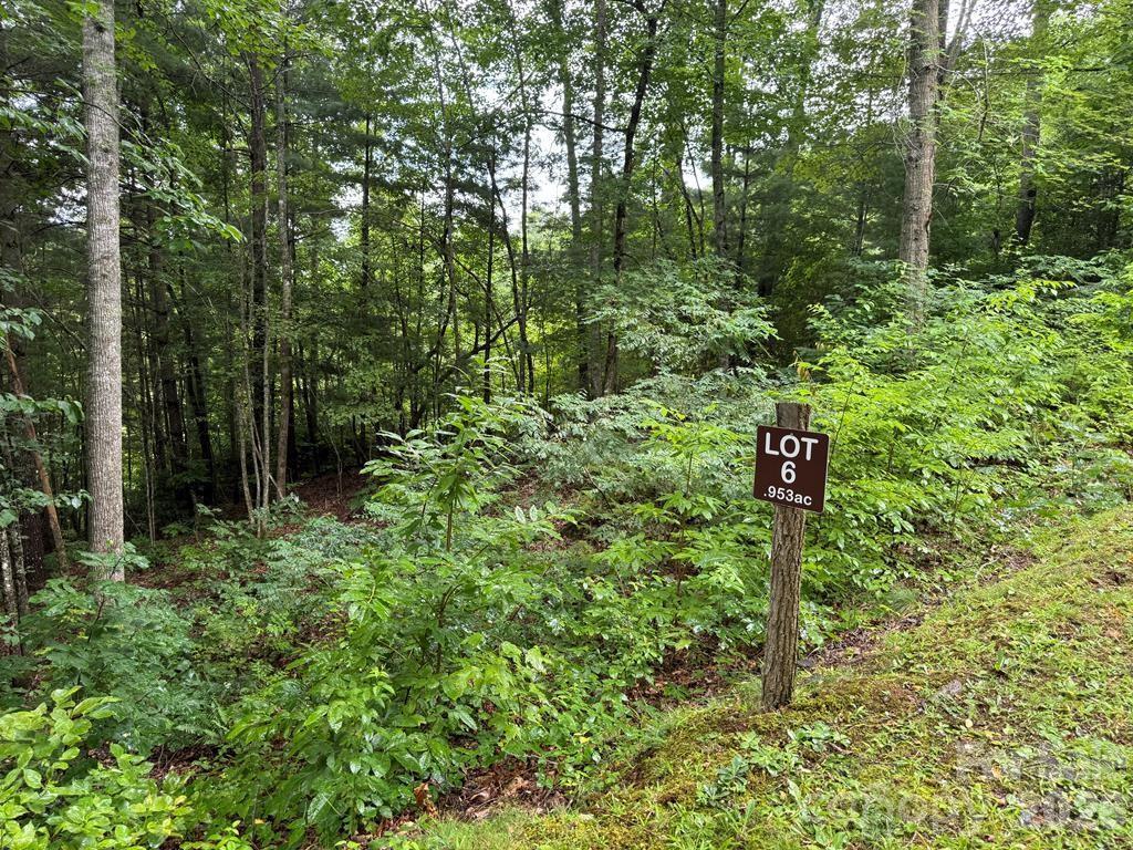 Lot 6 Garnet Rd., Sylva, NC 28779