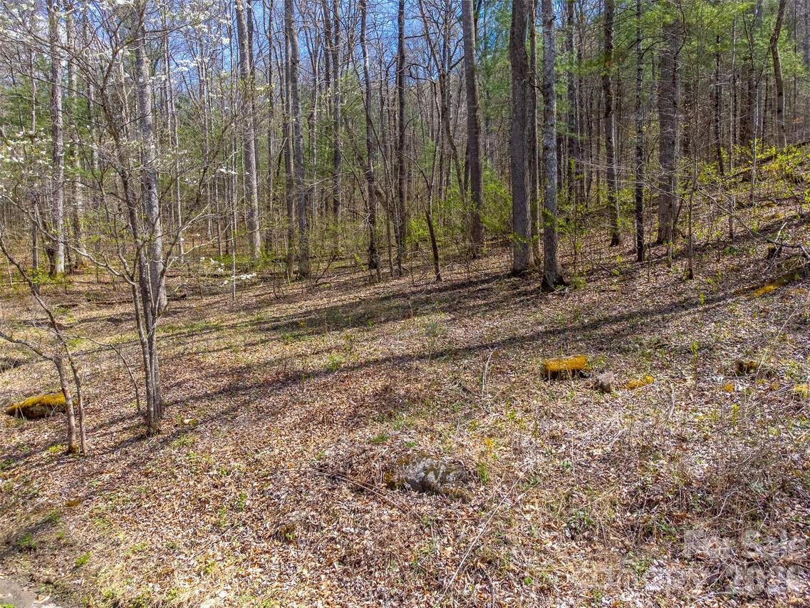 306 Cedar Creek Farm Rd., Tuckasegee, NC 28783