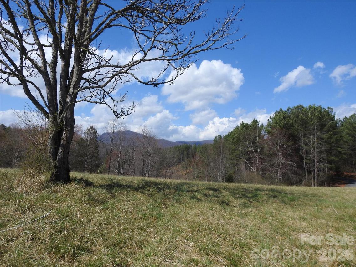 00 Laurel Lakes Pkwy. #2, Lake Lure, NC 28746