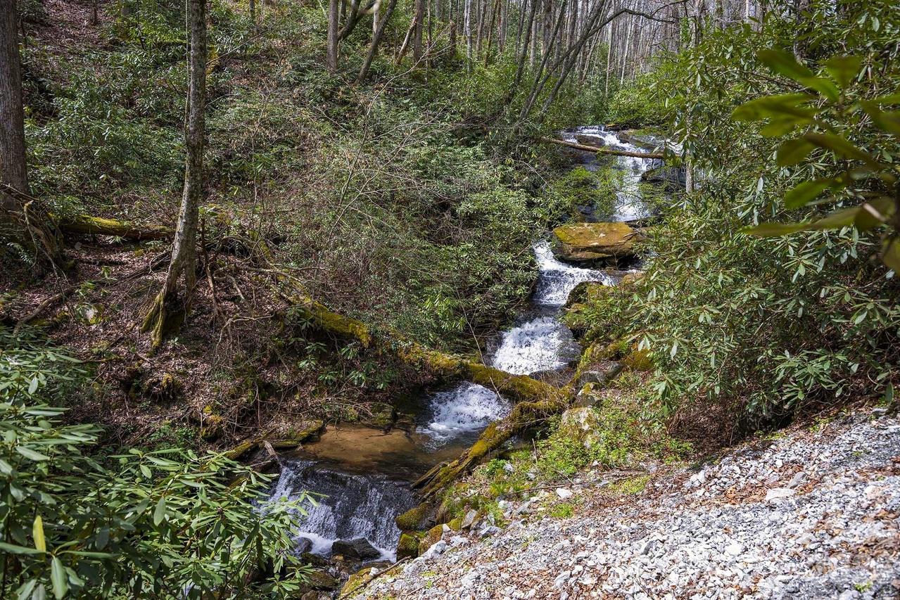 Diamond Creek Rd., Rosman, NC 28772