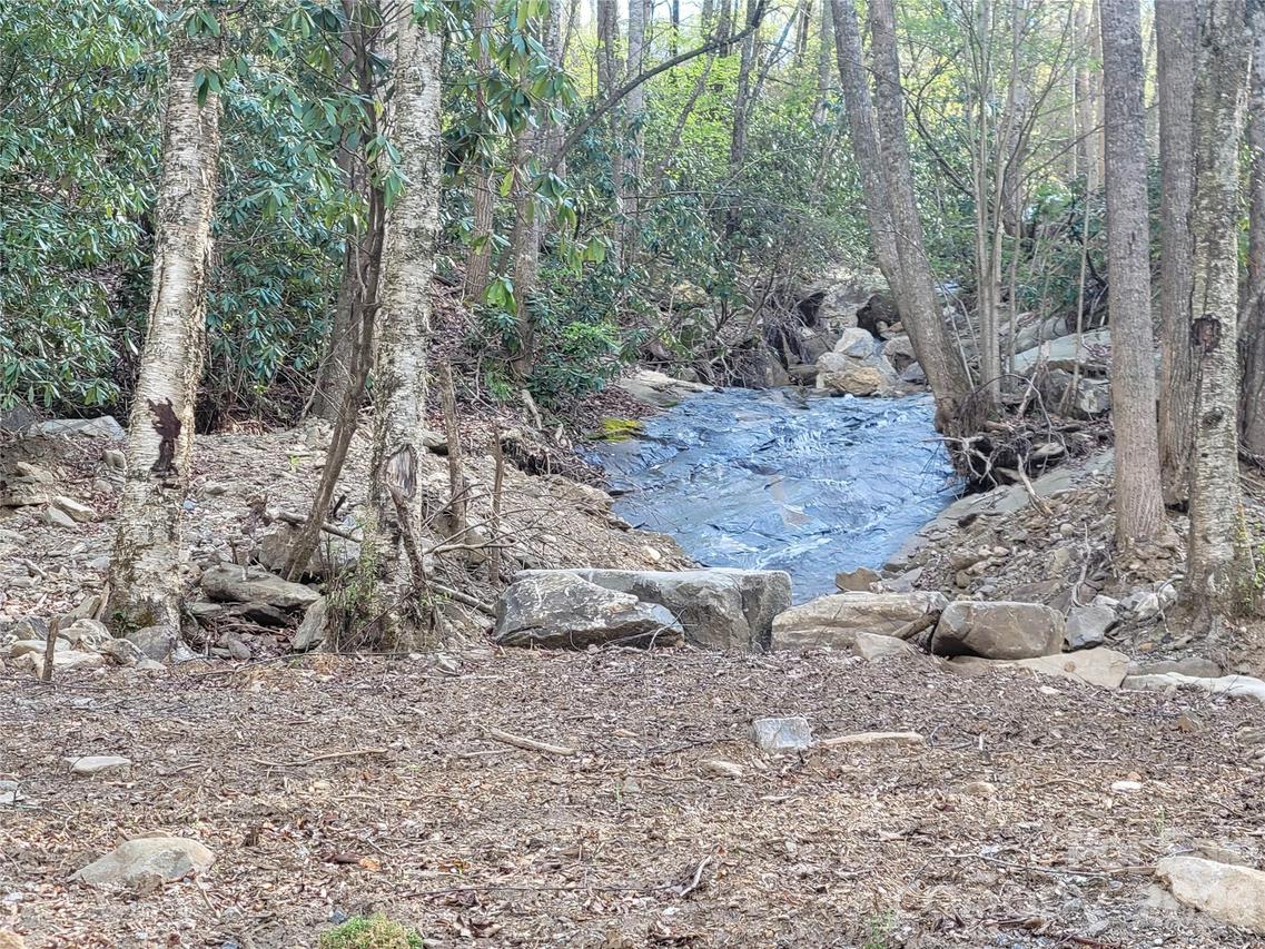 9999 Lytle Cove Road Rd., Swannanoa, NC 28778