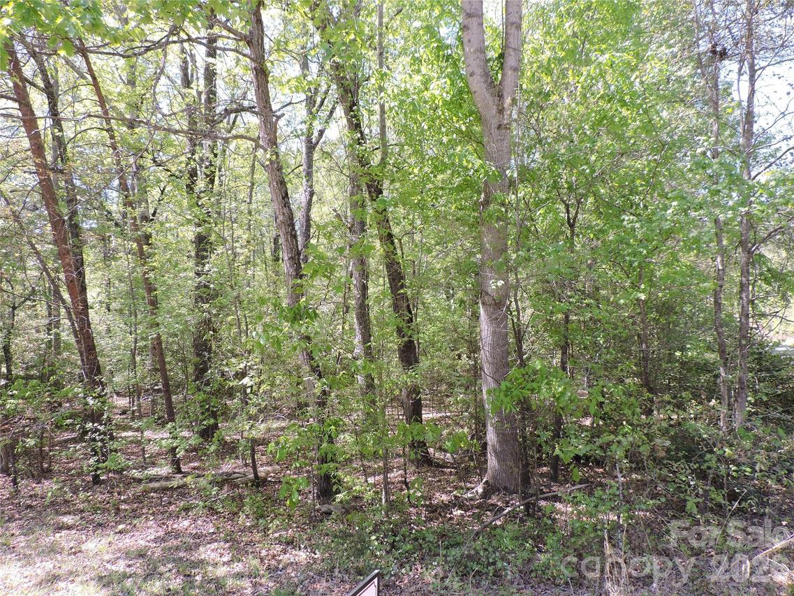 293 Manchester Rd., Mount Gilead, NC 27306