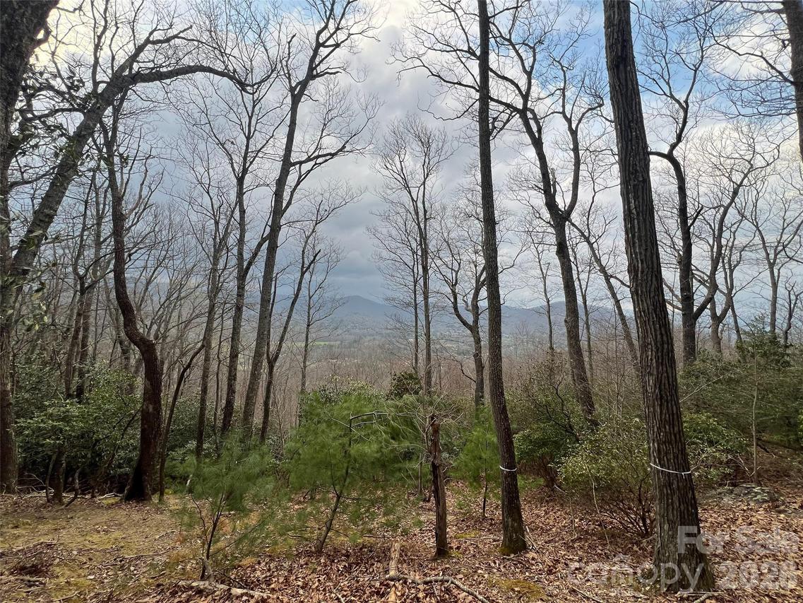 27 Deer Grass Ct., Arden, NC 28704