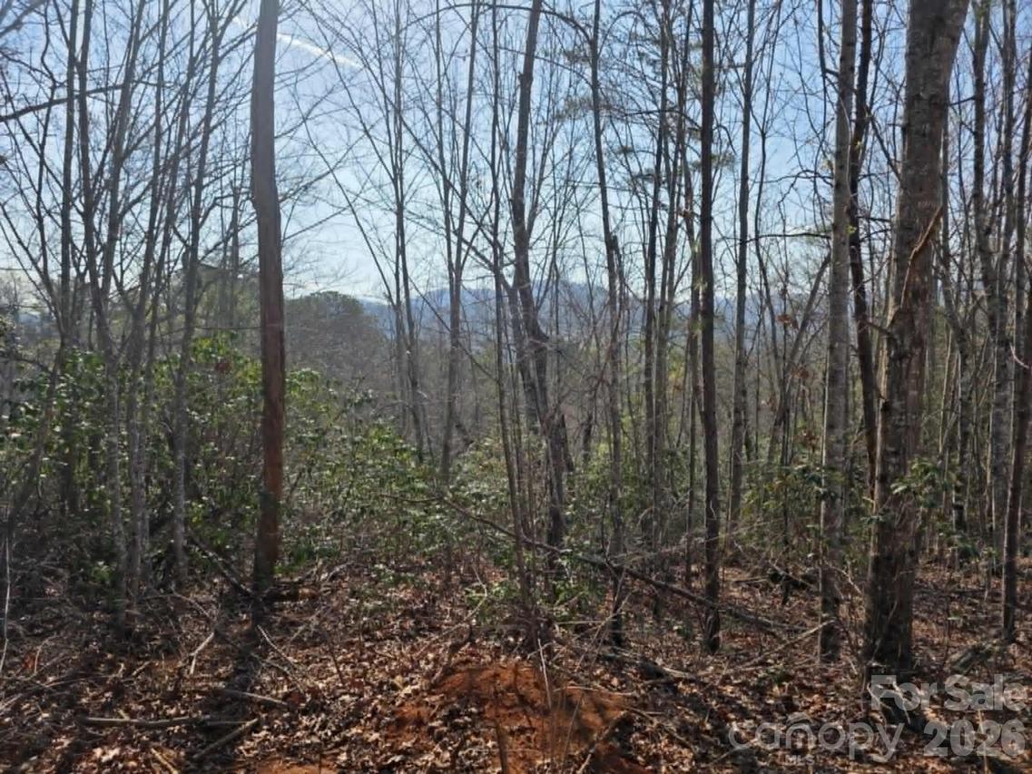 Lot 8 Kerlee Ln., Old Fort, NC 28762