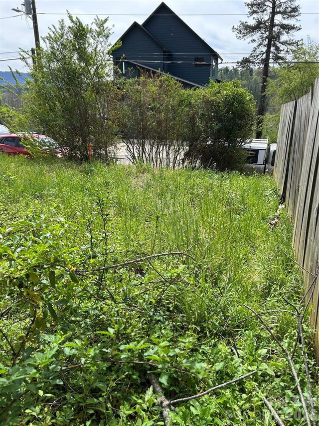 99999 Lamb Ave. #1, Asheville, NC 28806