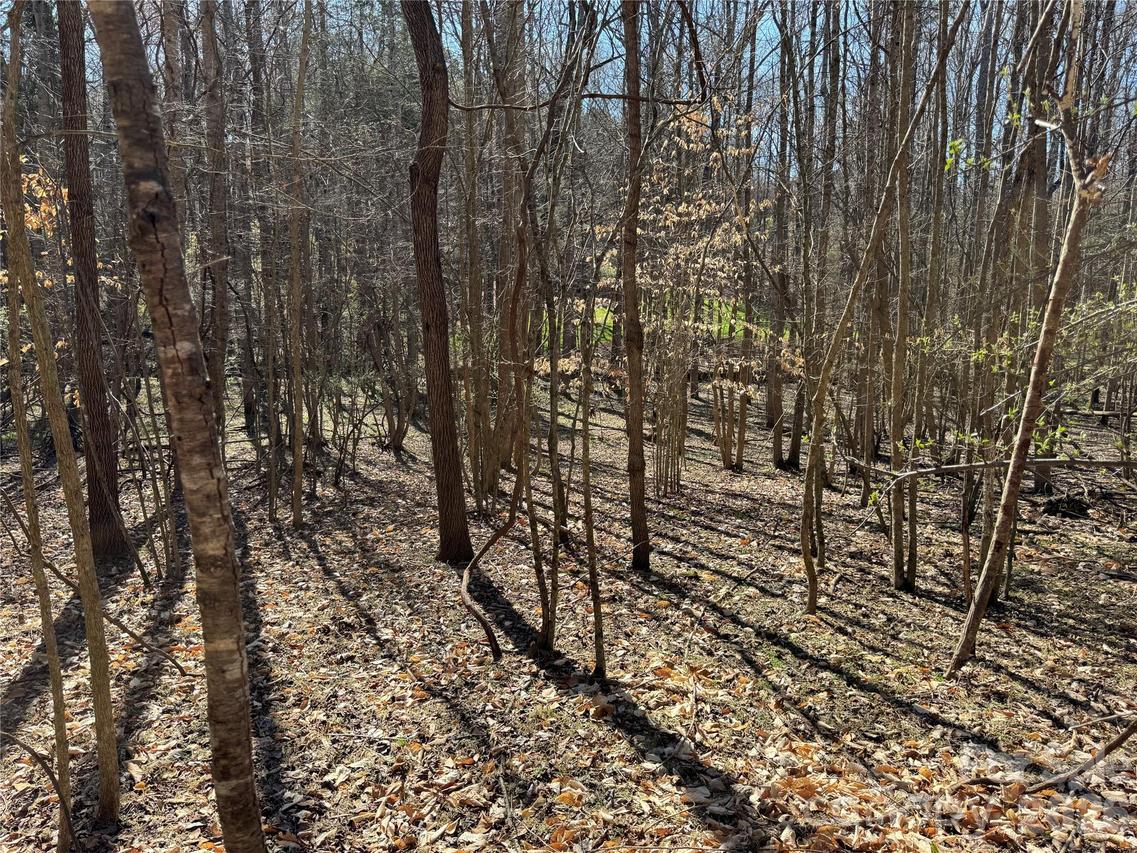 11490 King James Blvd. #2, Davidson, NC 28036